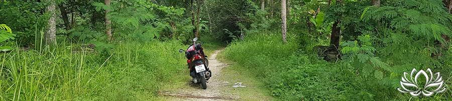 assurance moto en Thaïlande